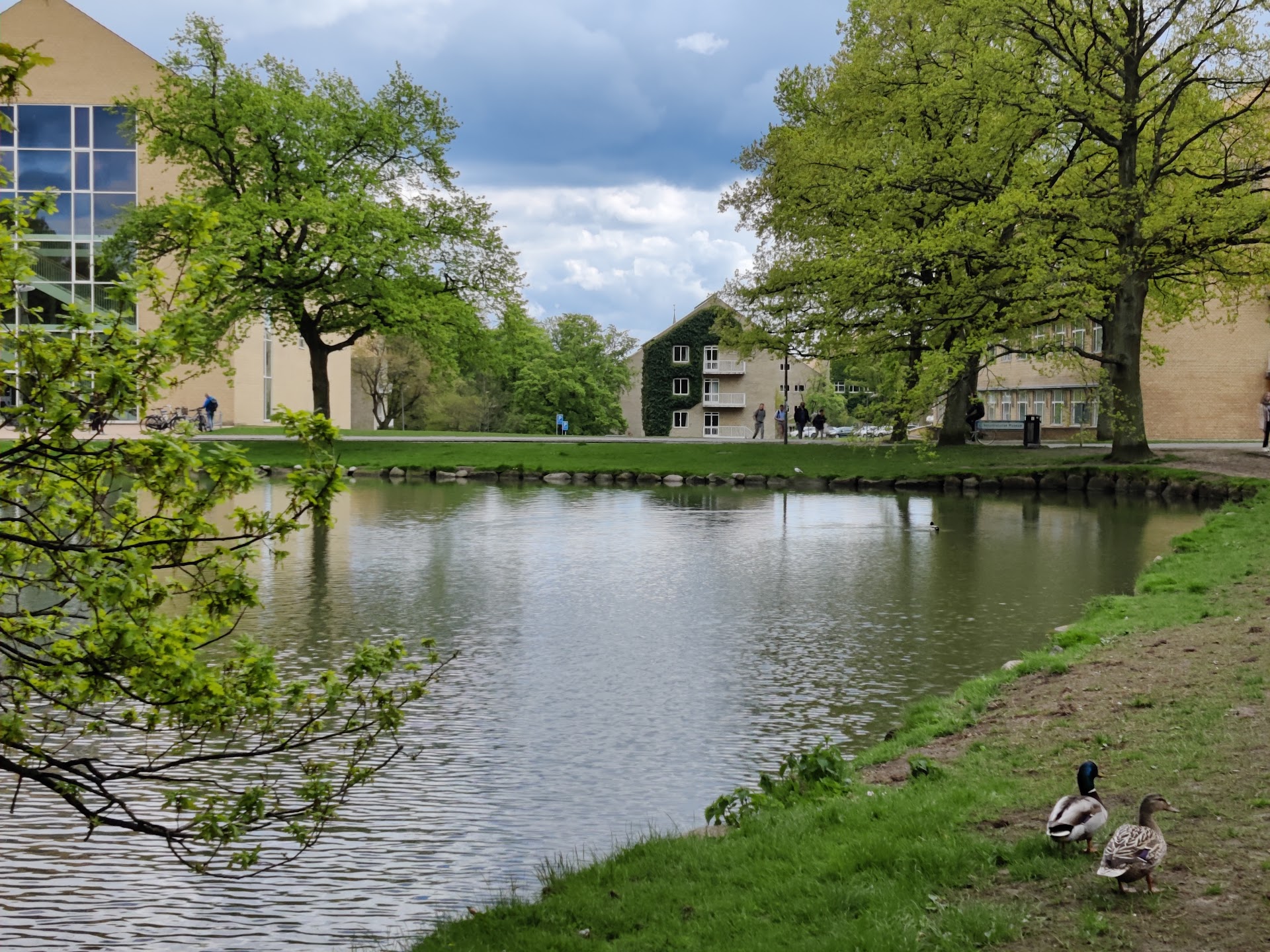 Aarhus University