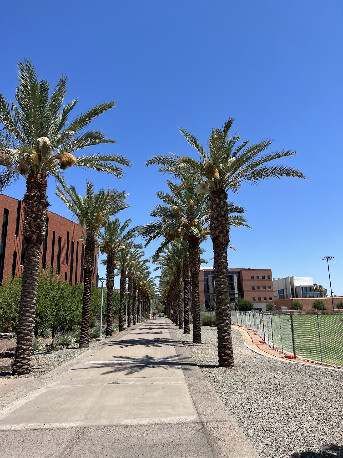 Arizona State University