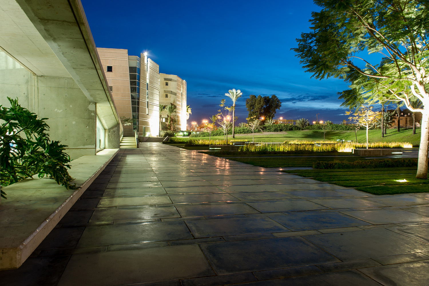 Ben-Gurion University of the Negev