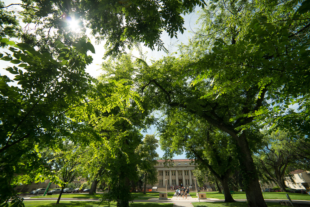 Colorado State University