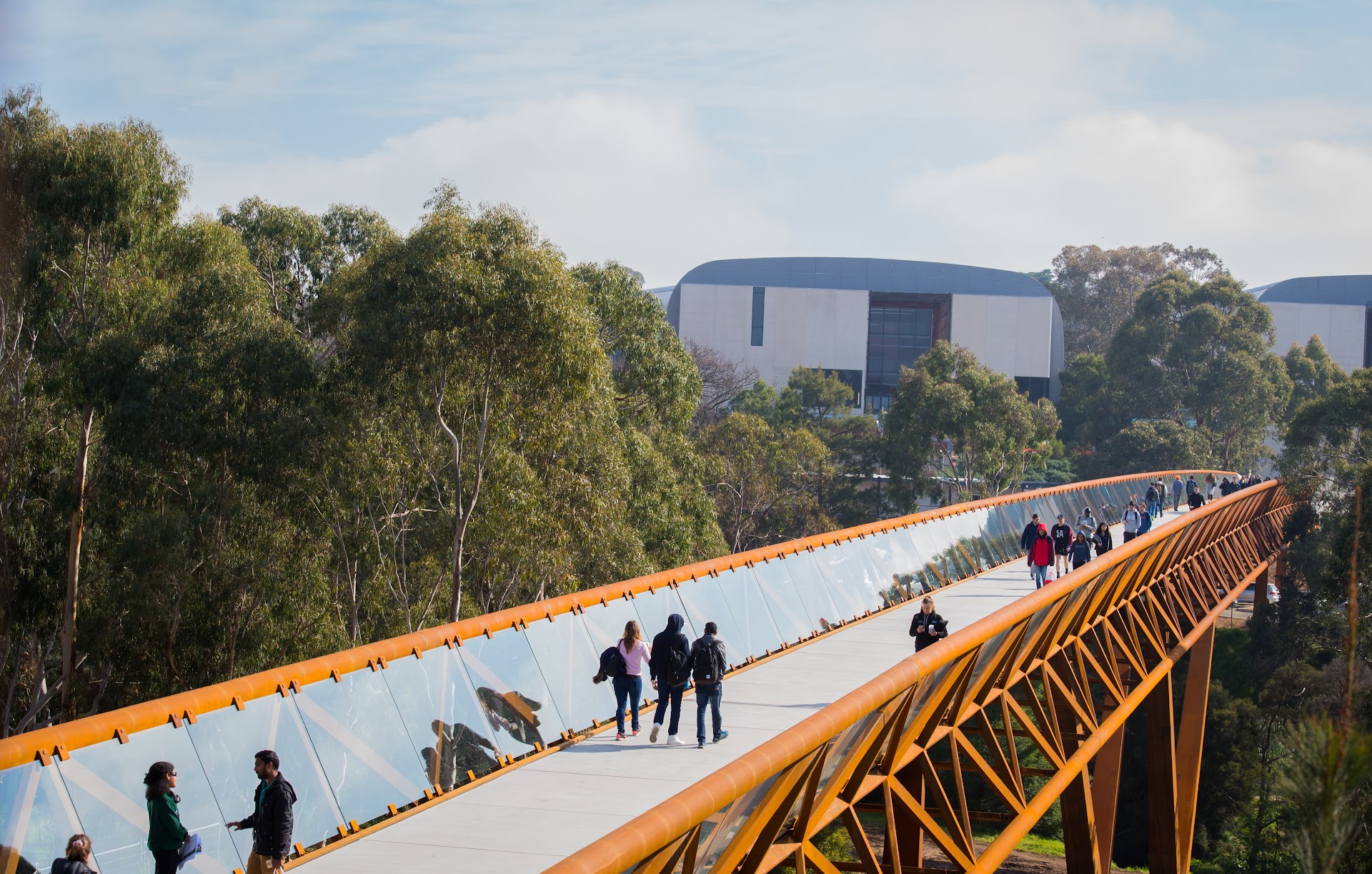 Deakin University