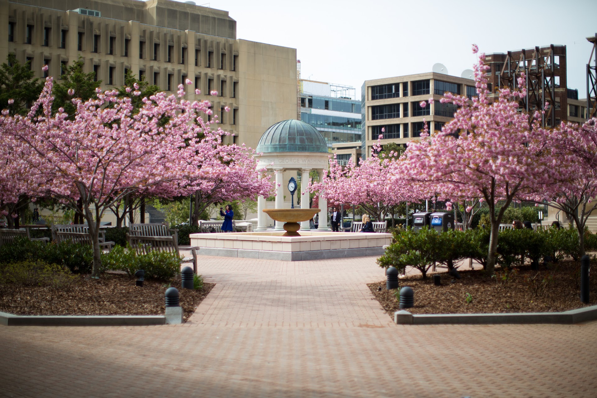 George Washington University