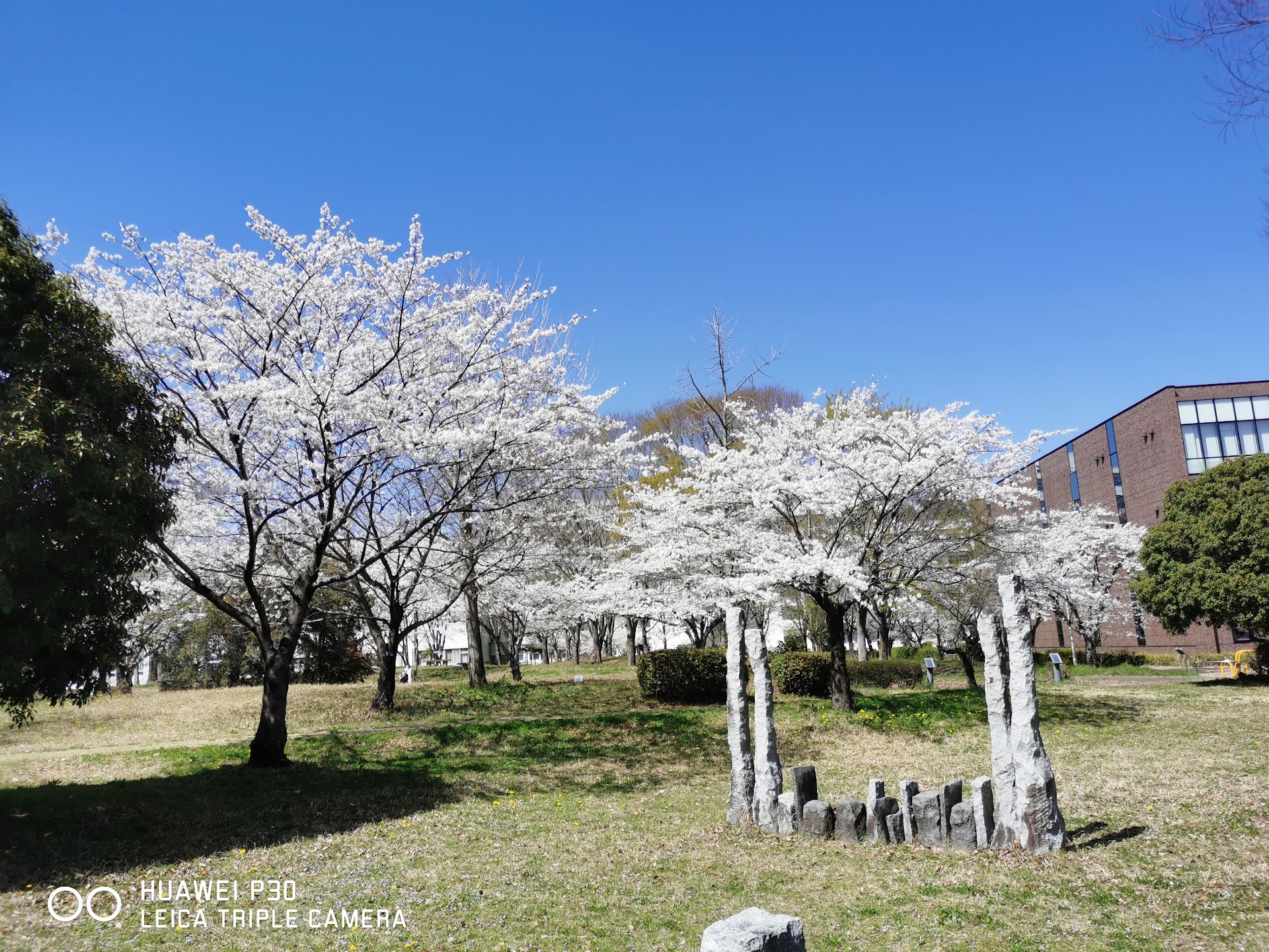 Gifu University