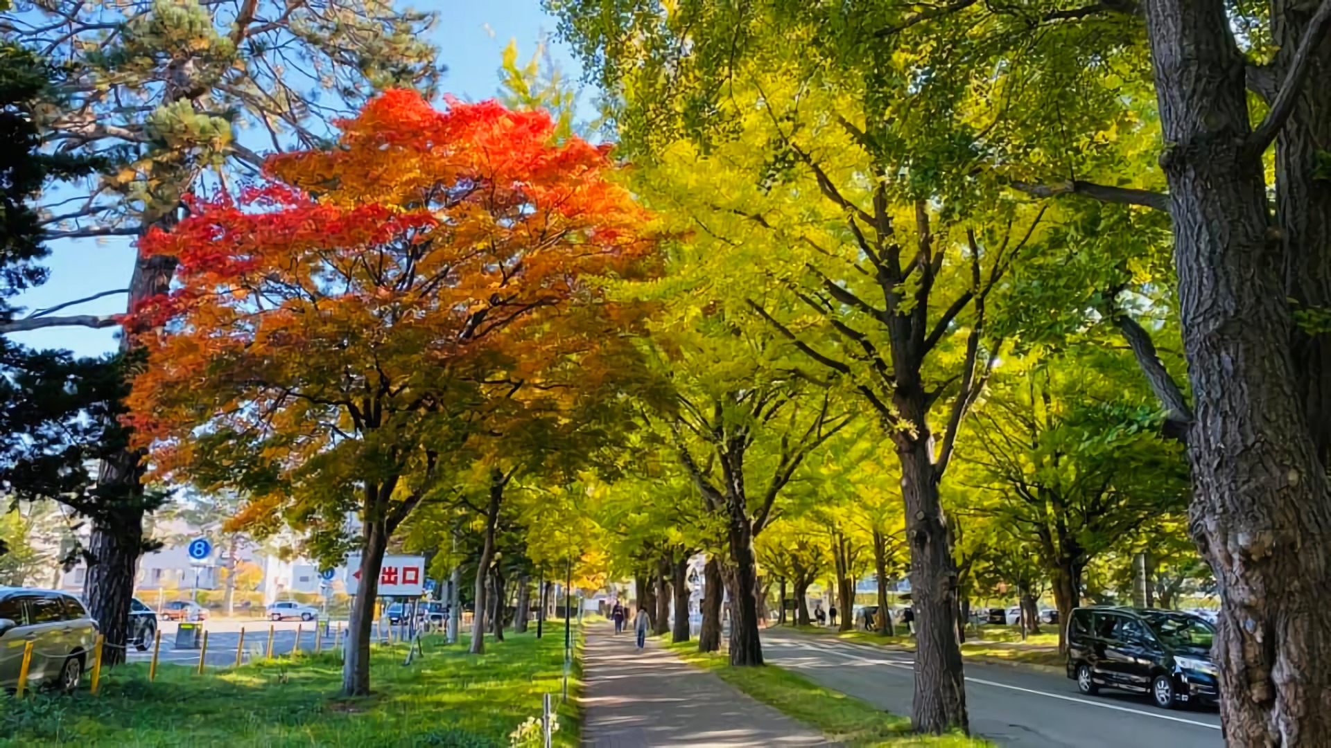 Hokkaido University