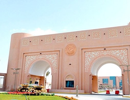 King Faisal University