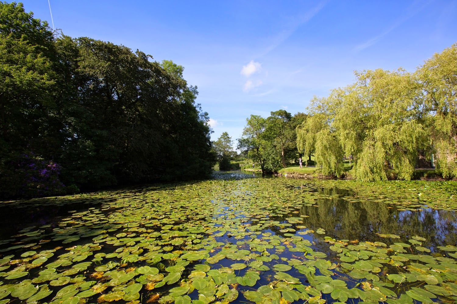 Lancaster University