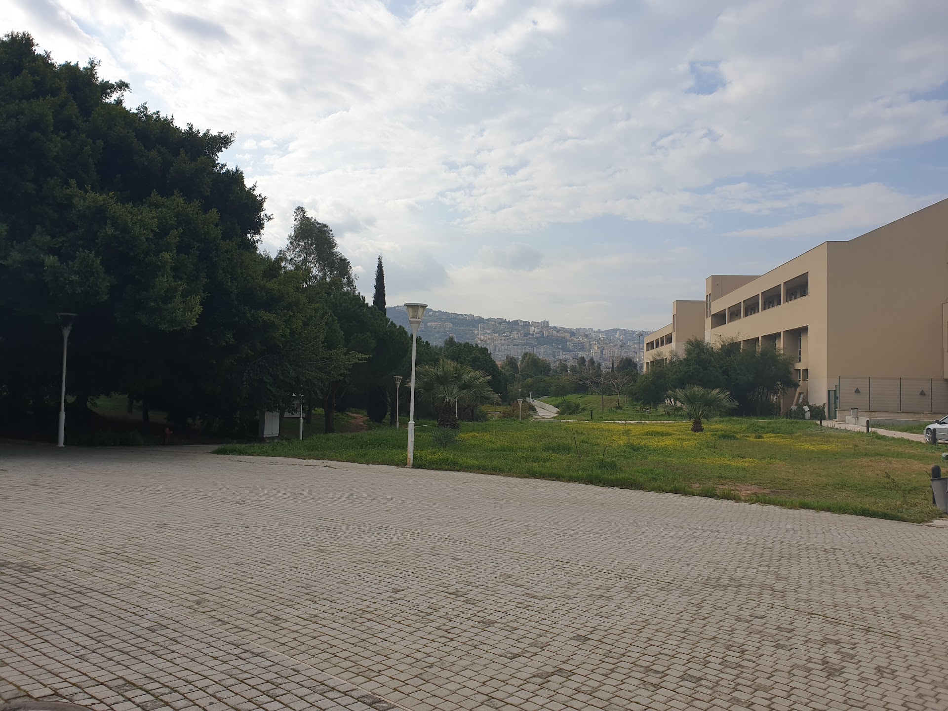 Lebanese University