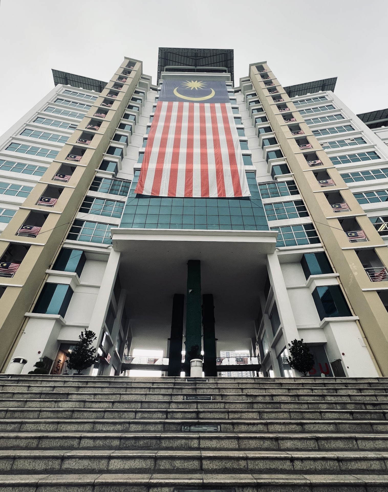 Management and Science University