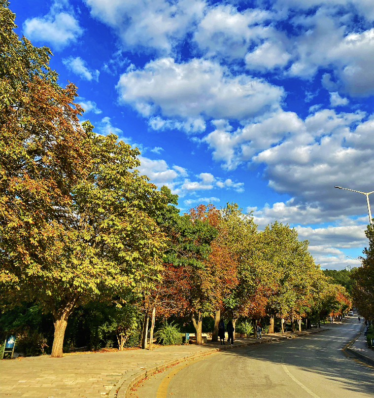 Middle East Technical University