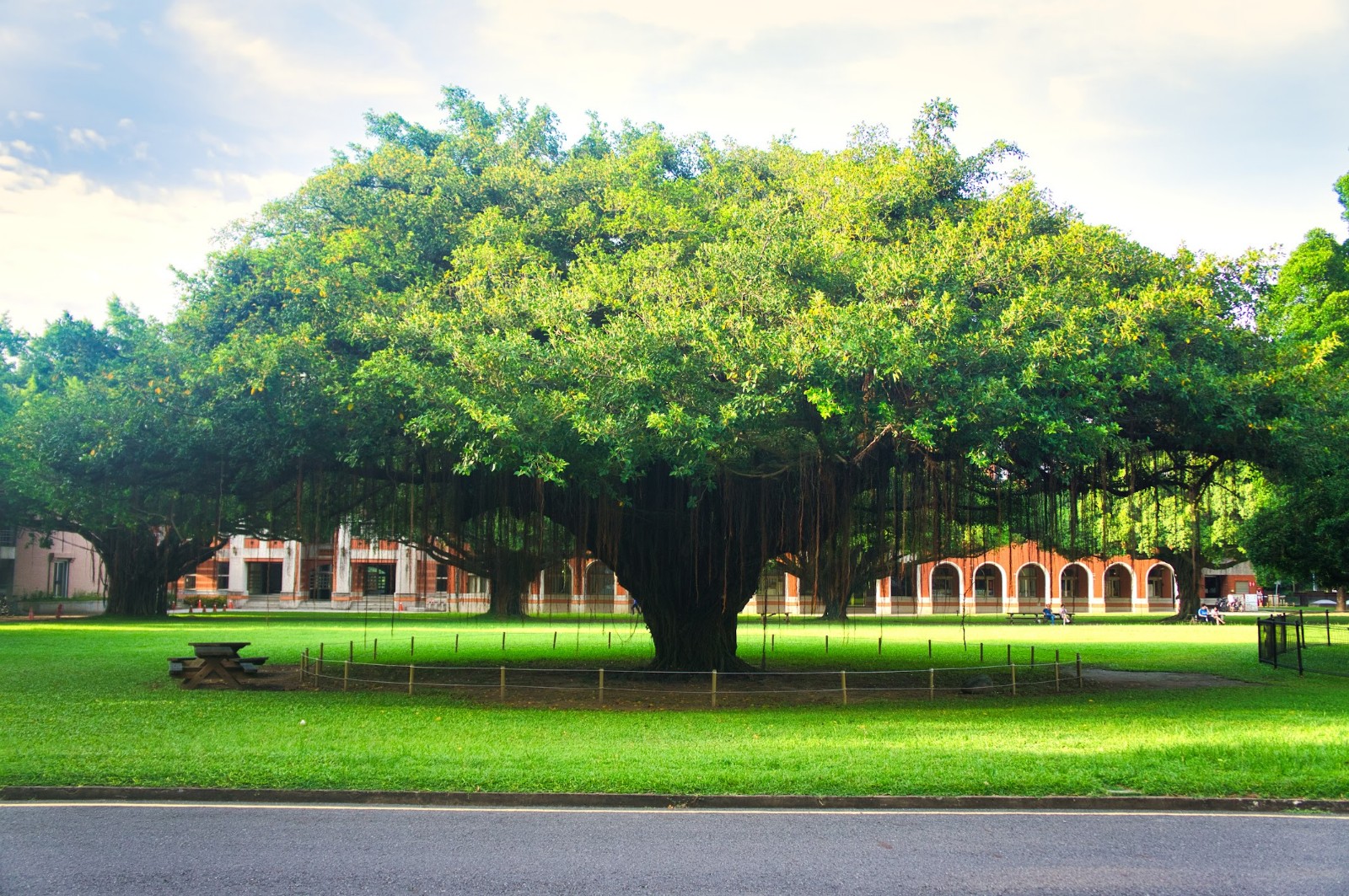 National Cheng Kung University (NCKU)