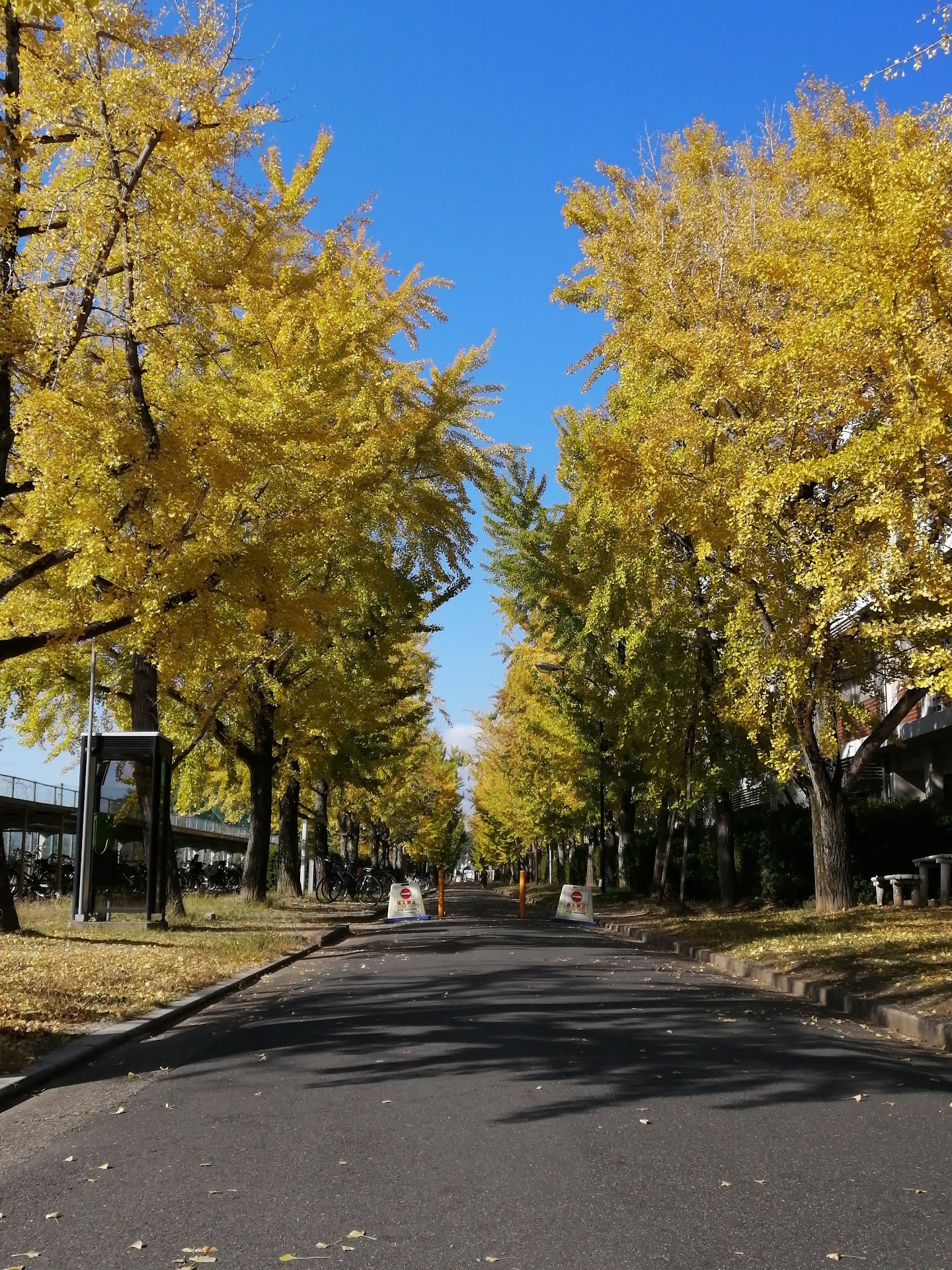 Okayama University