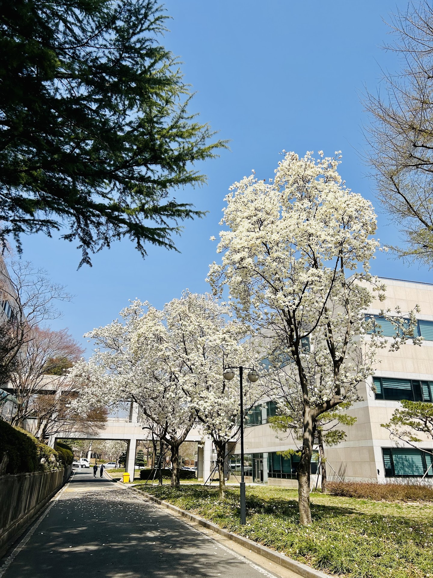 Pohang University of Science And Technology (POSTECH)