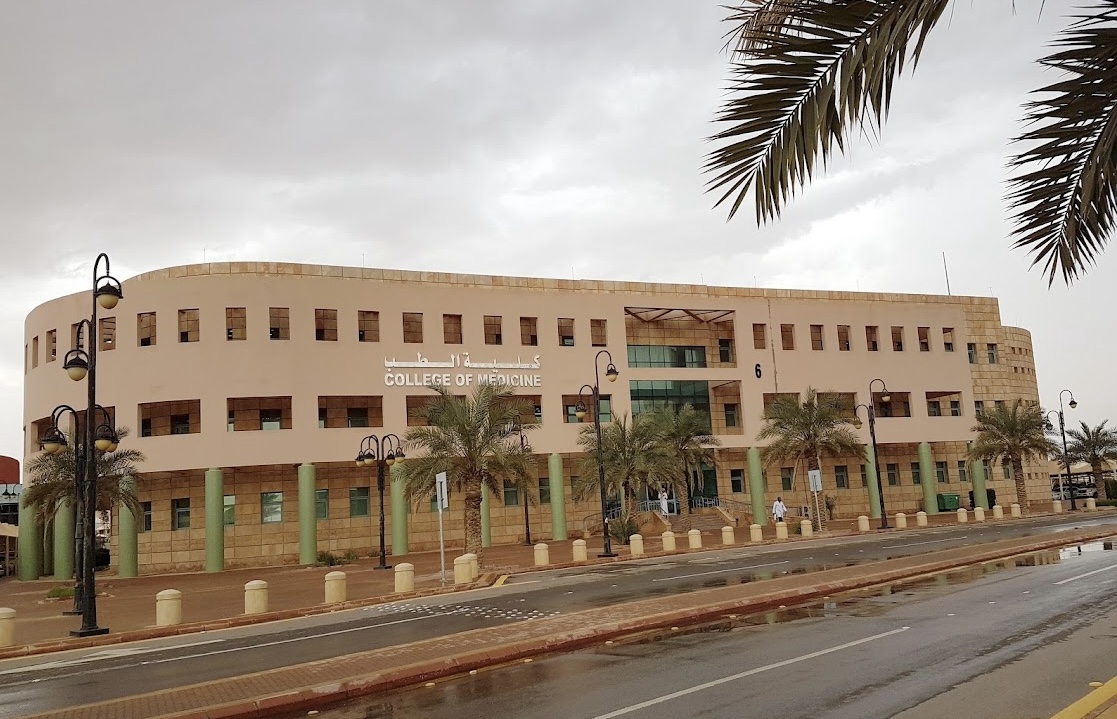 Prince Sattam Bin Abdulaziz University