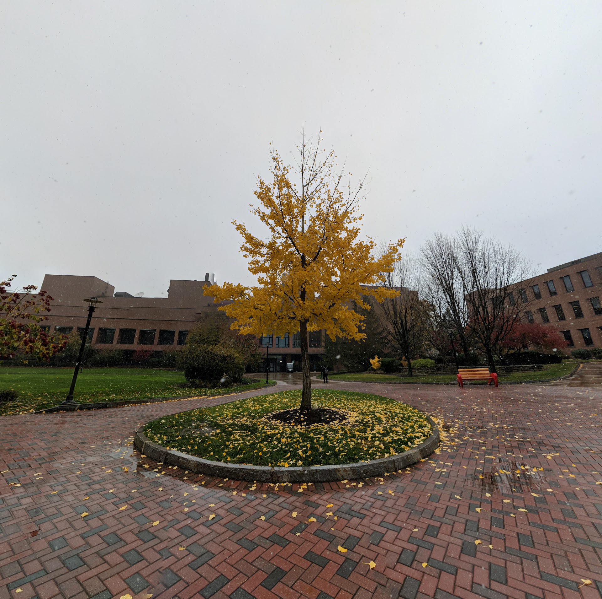 Rochester Institute of Technology (RIT)