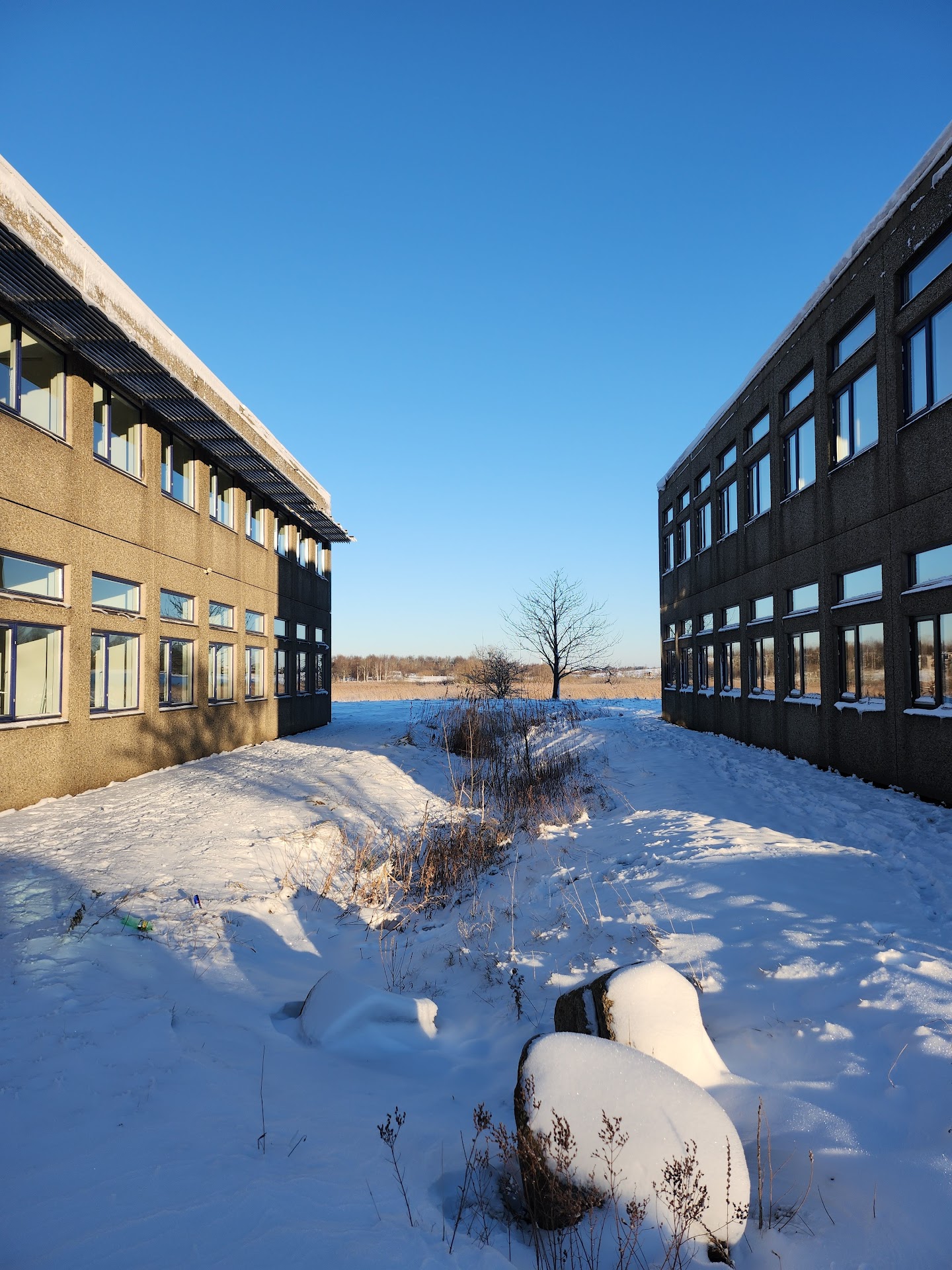 Roskilde University