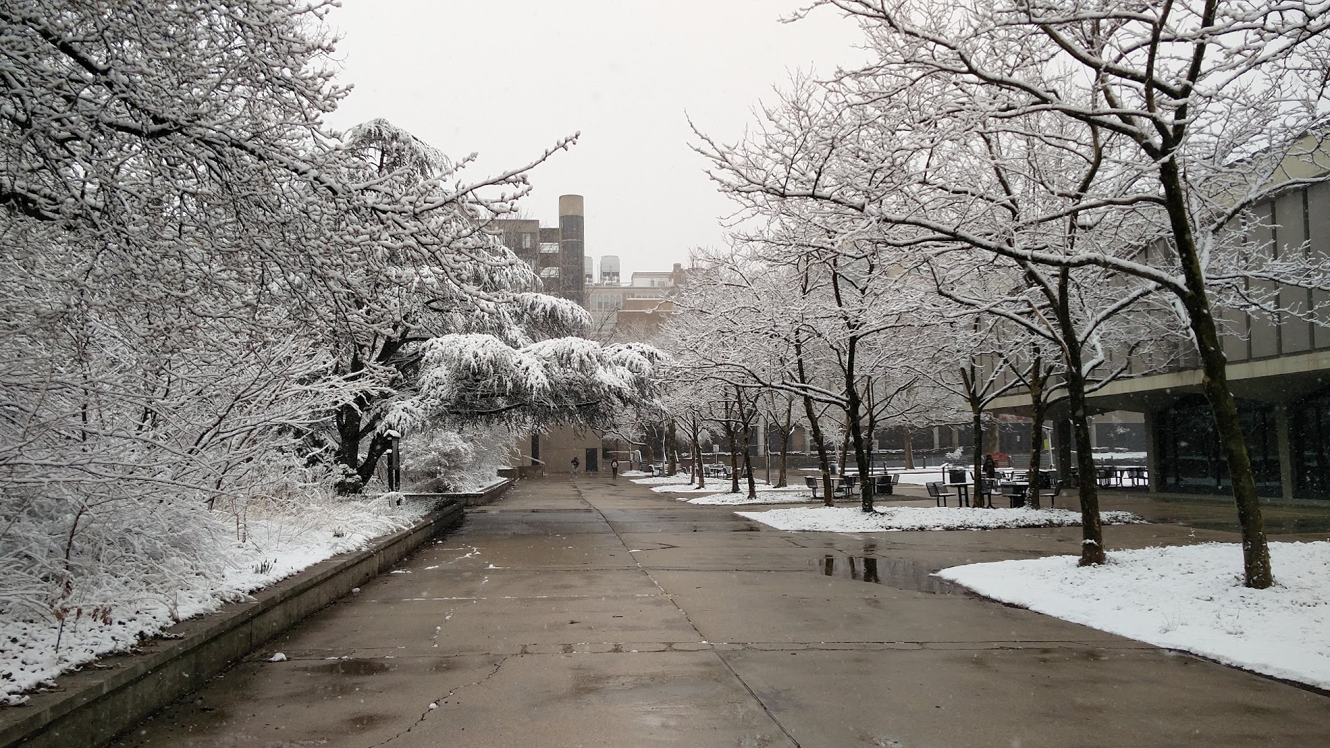 Rutgers University-Newark