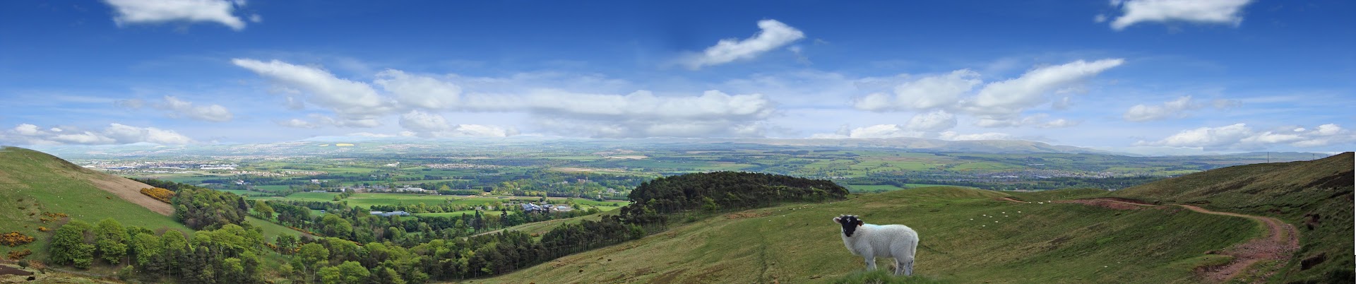 SRUC (Scotland's Rural College)