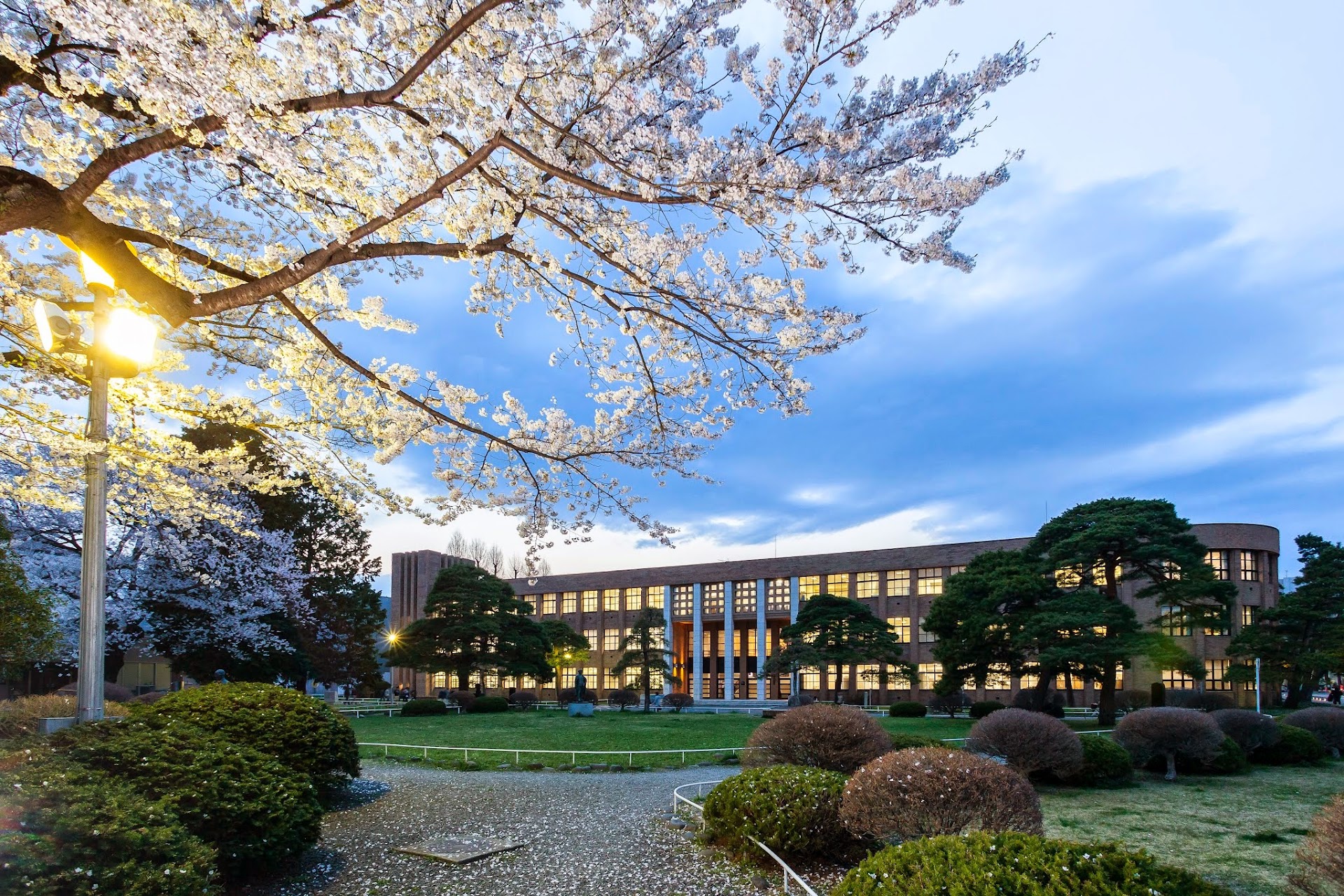 Tohoku University