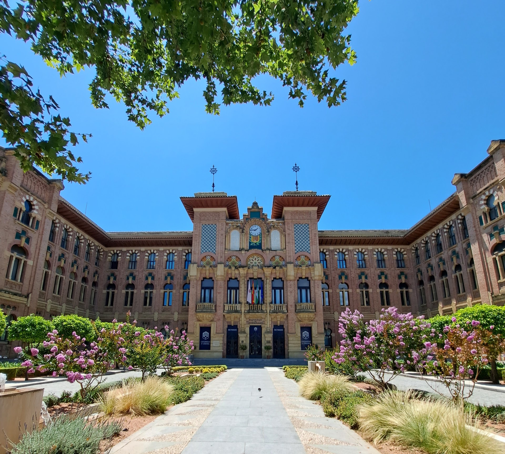 Universidad de Córdoba