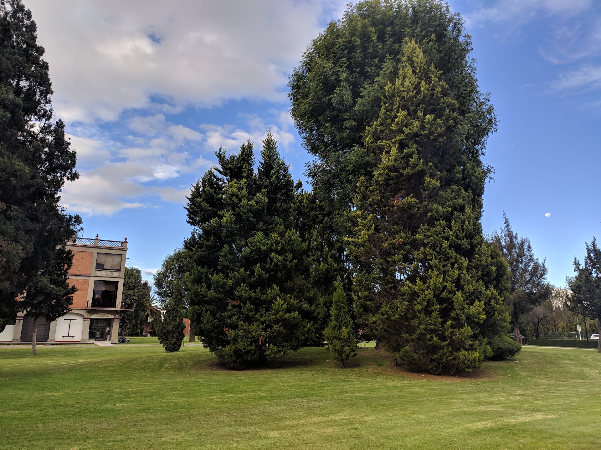 Universidad de las Américas Puebla (UDLAP)