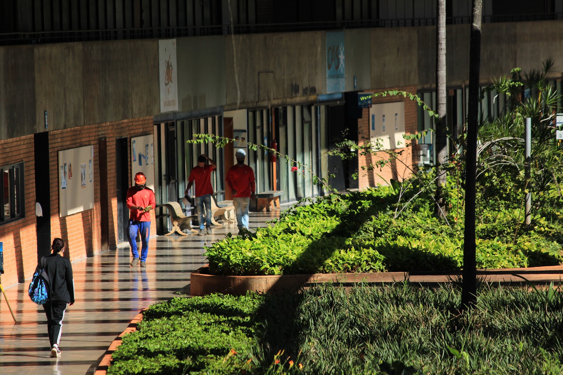 Universidade de Brasília