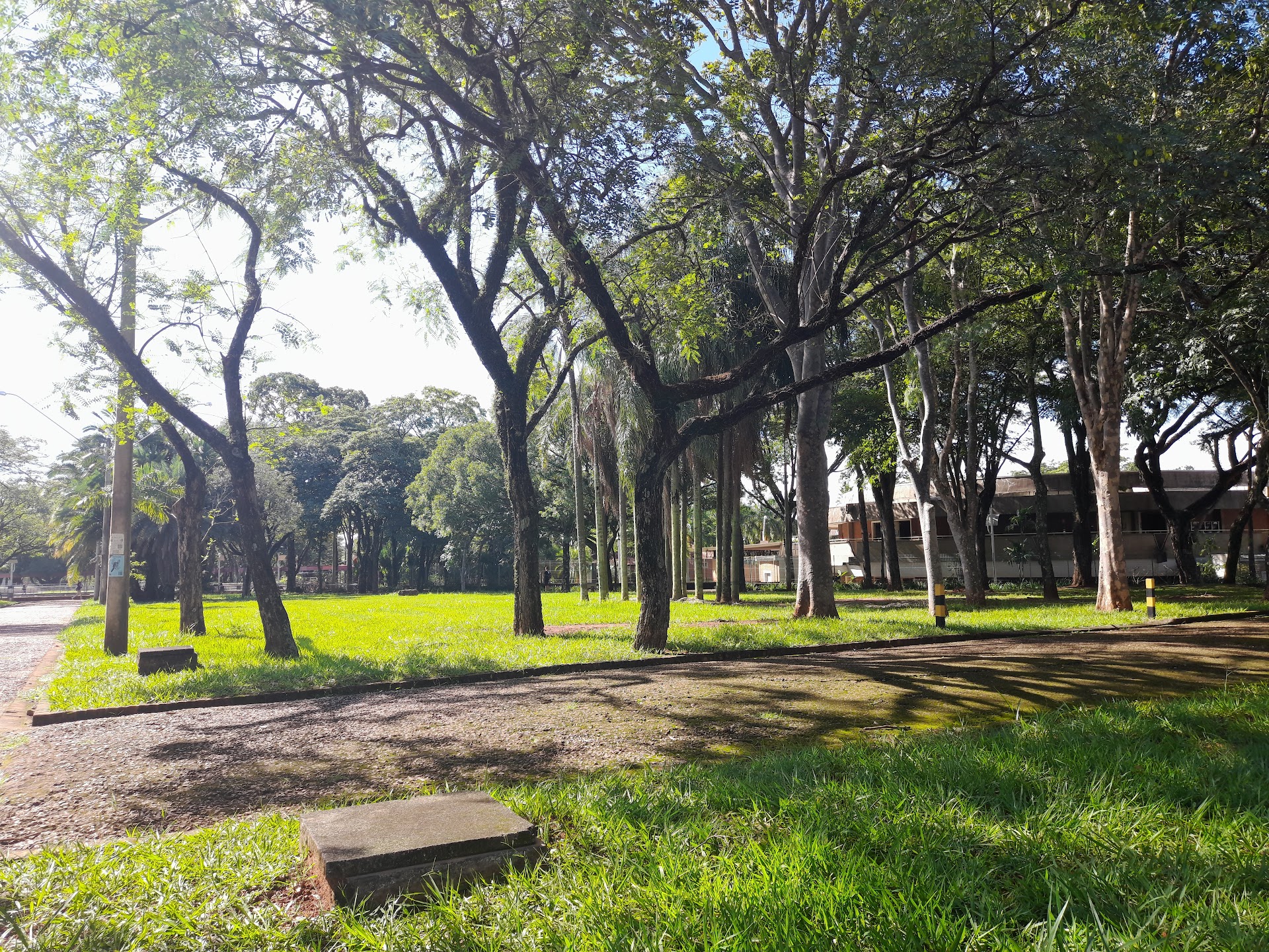 Universidade Estadual de Campinas (Unicamp)