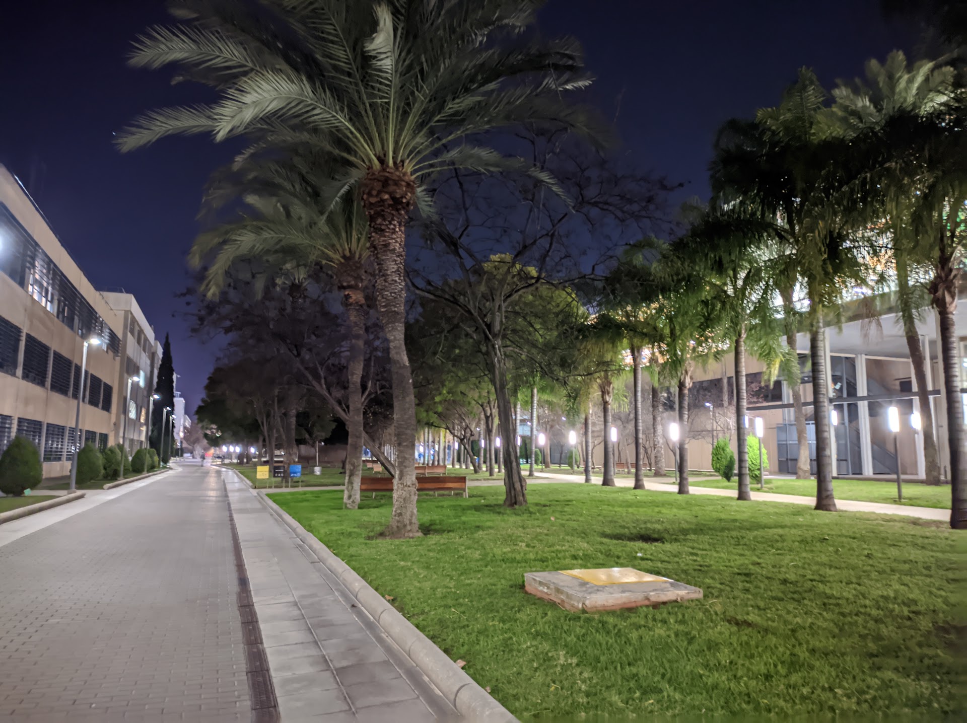 Universitat Politècnica de València