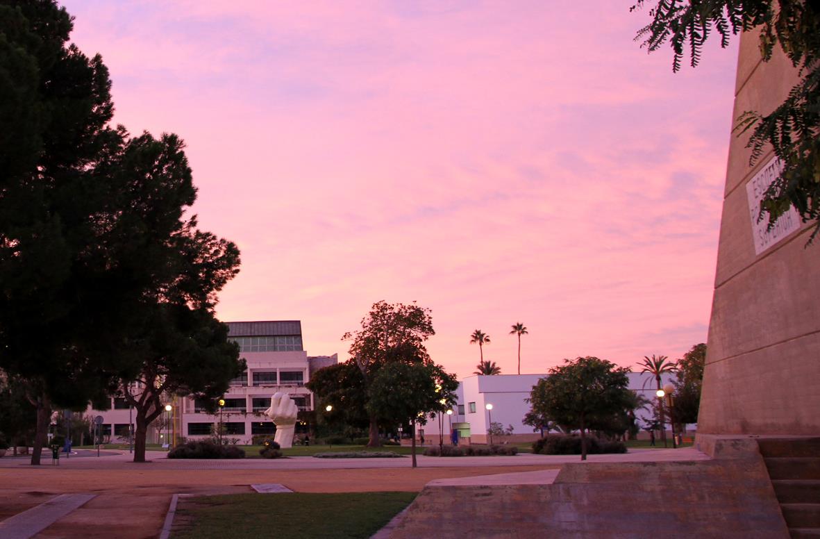 University of Alicante