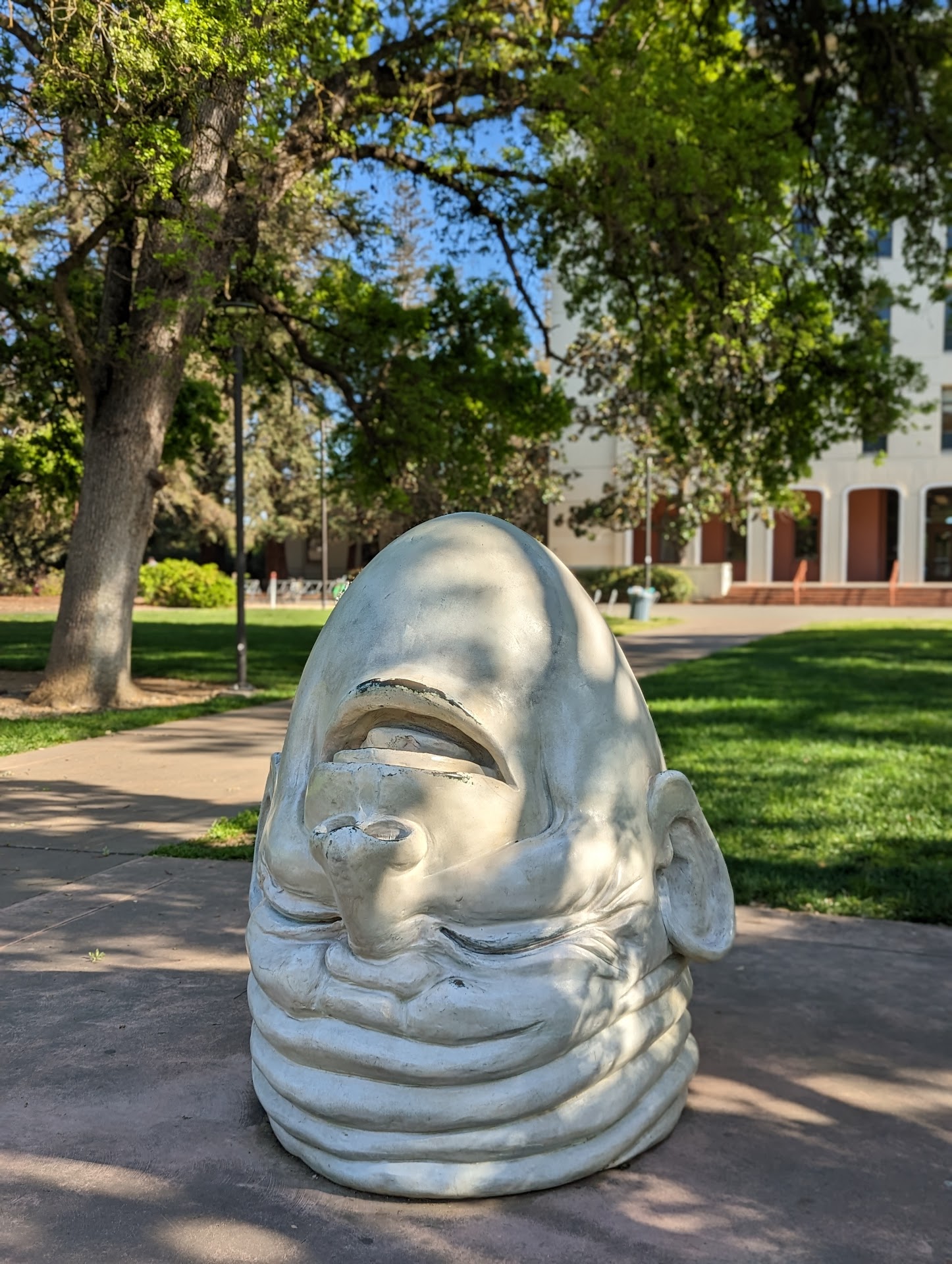 University of California, Davis