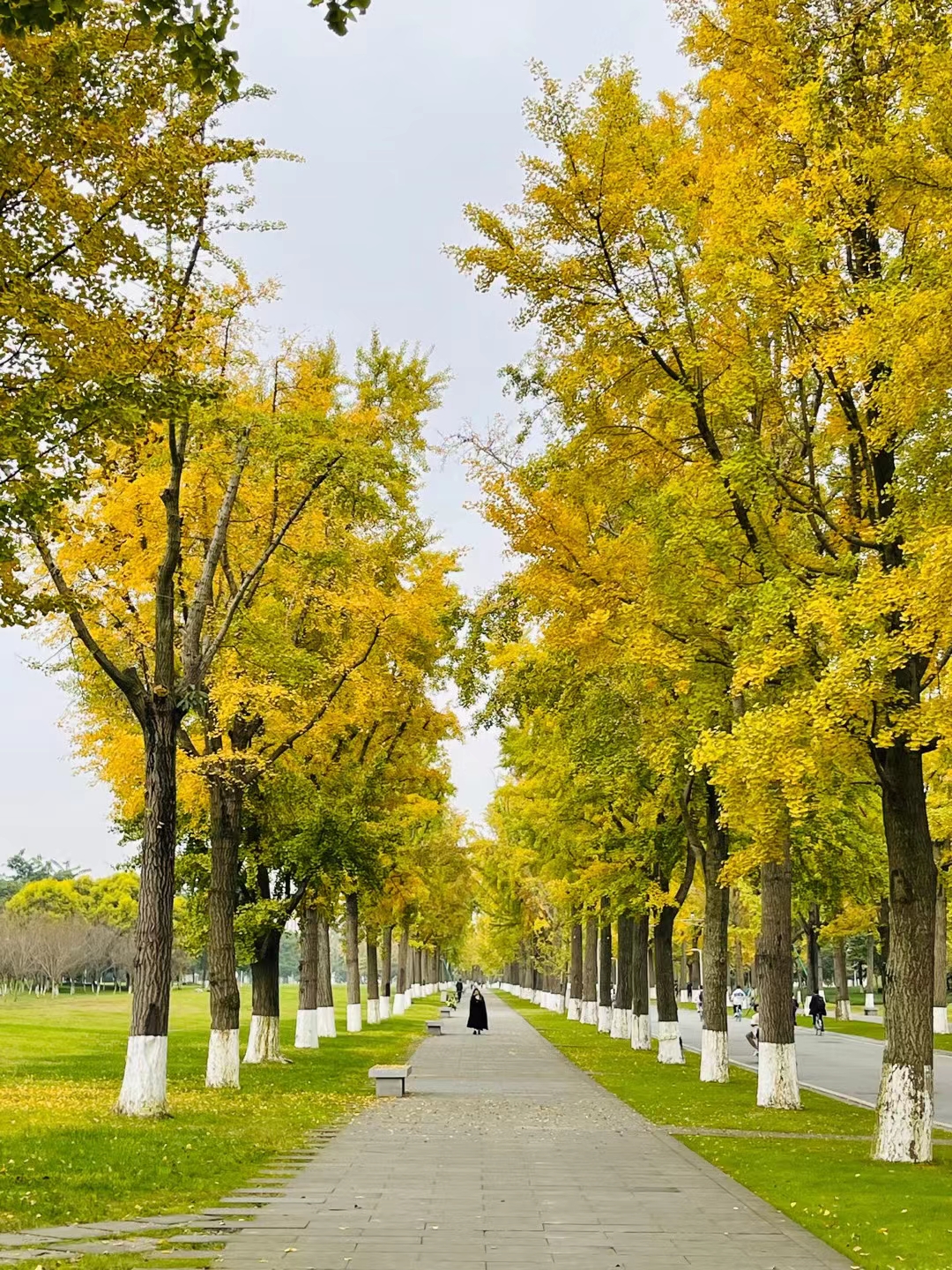 University of Electronic Science and Technology of China