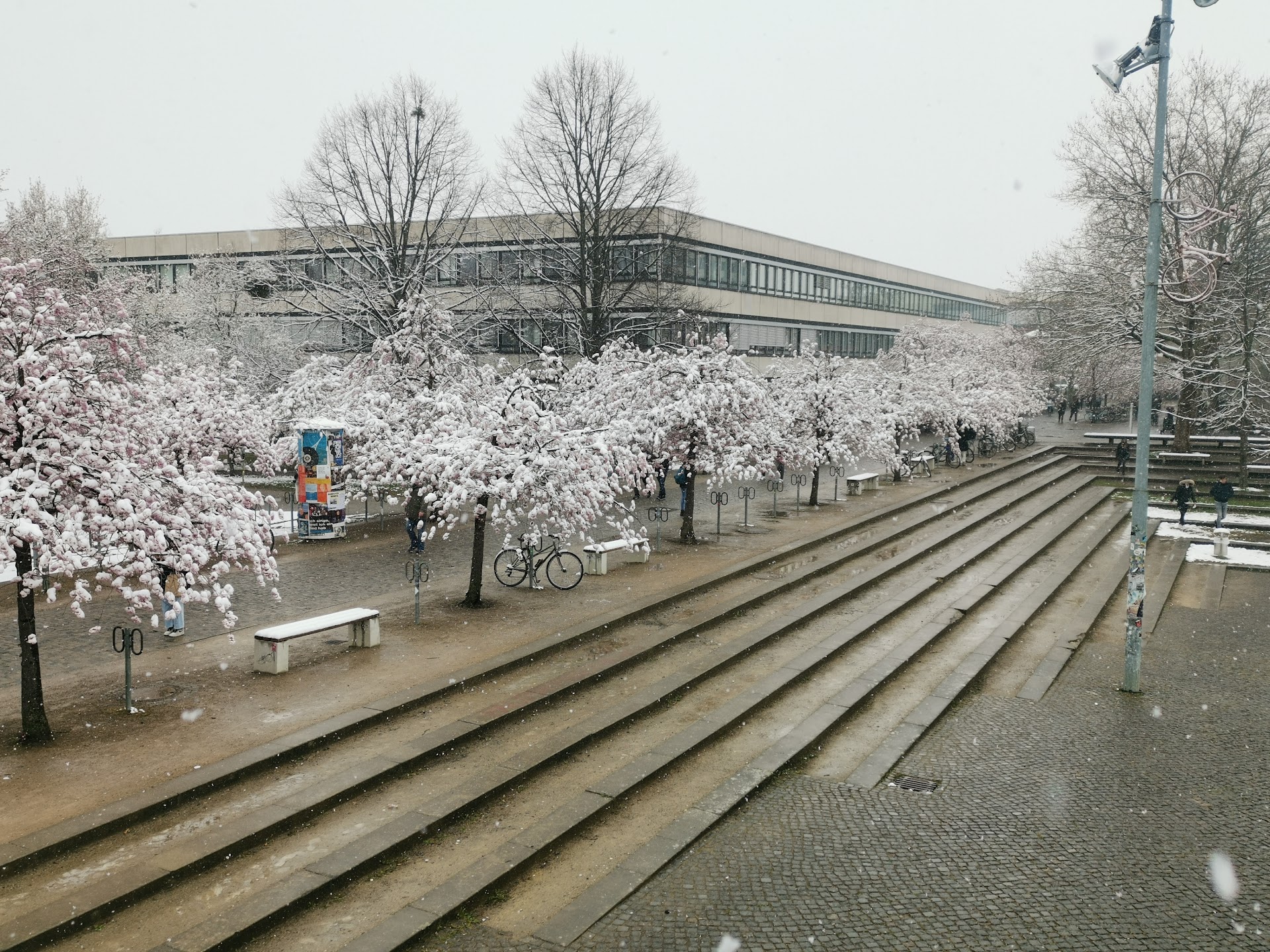 University of Göttingen