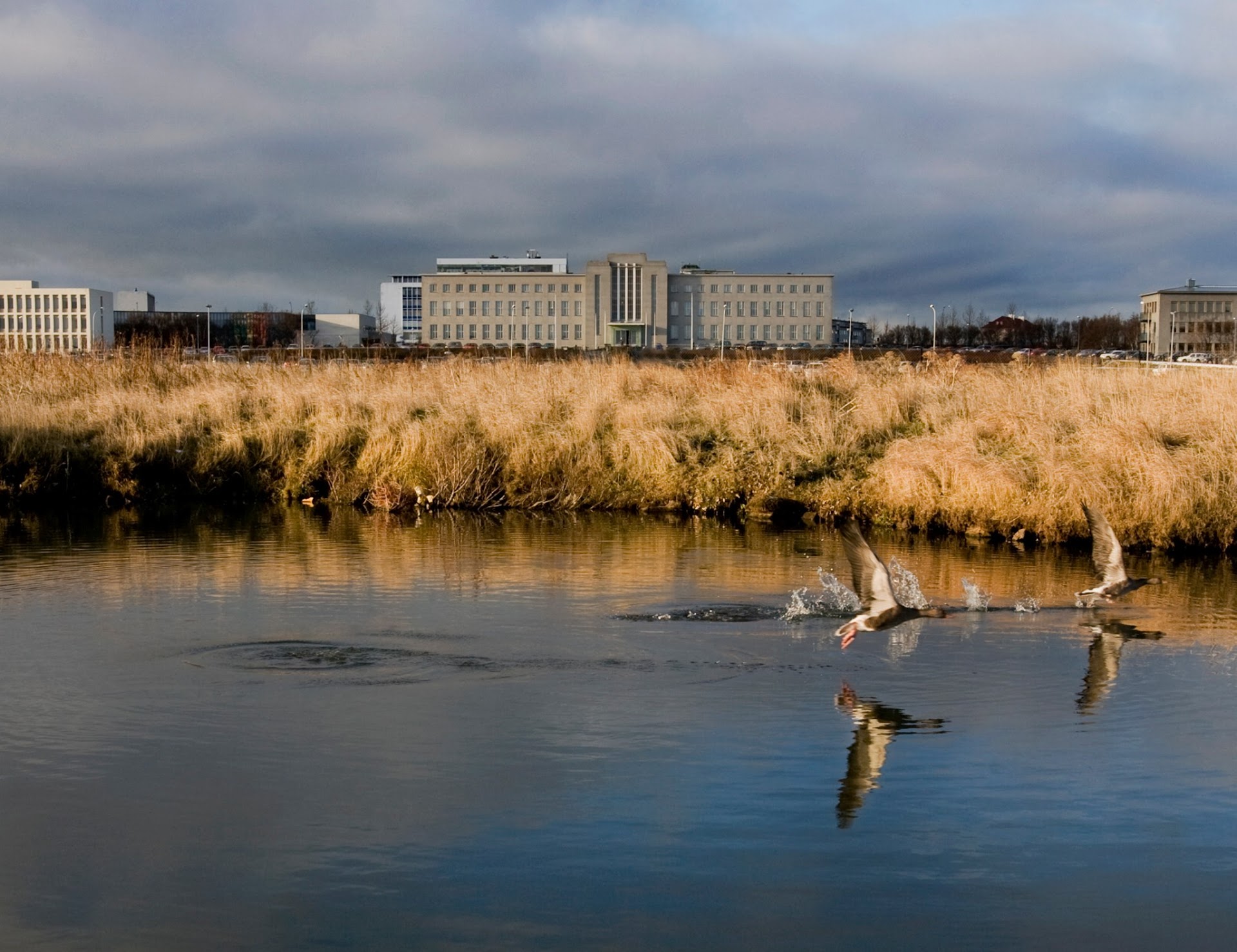 University of Iceland