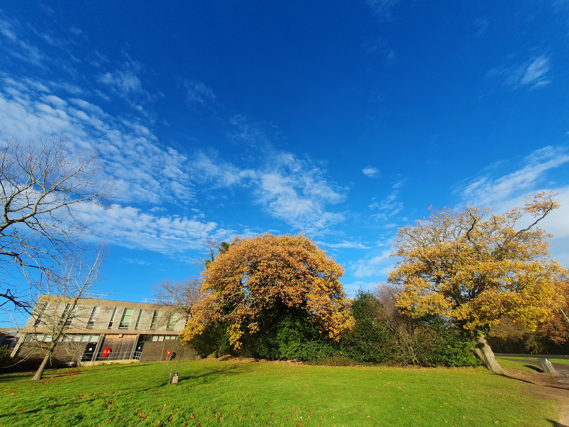 University of Kent