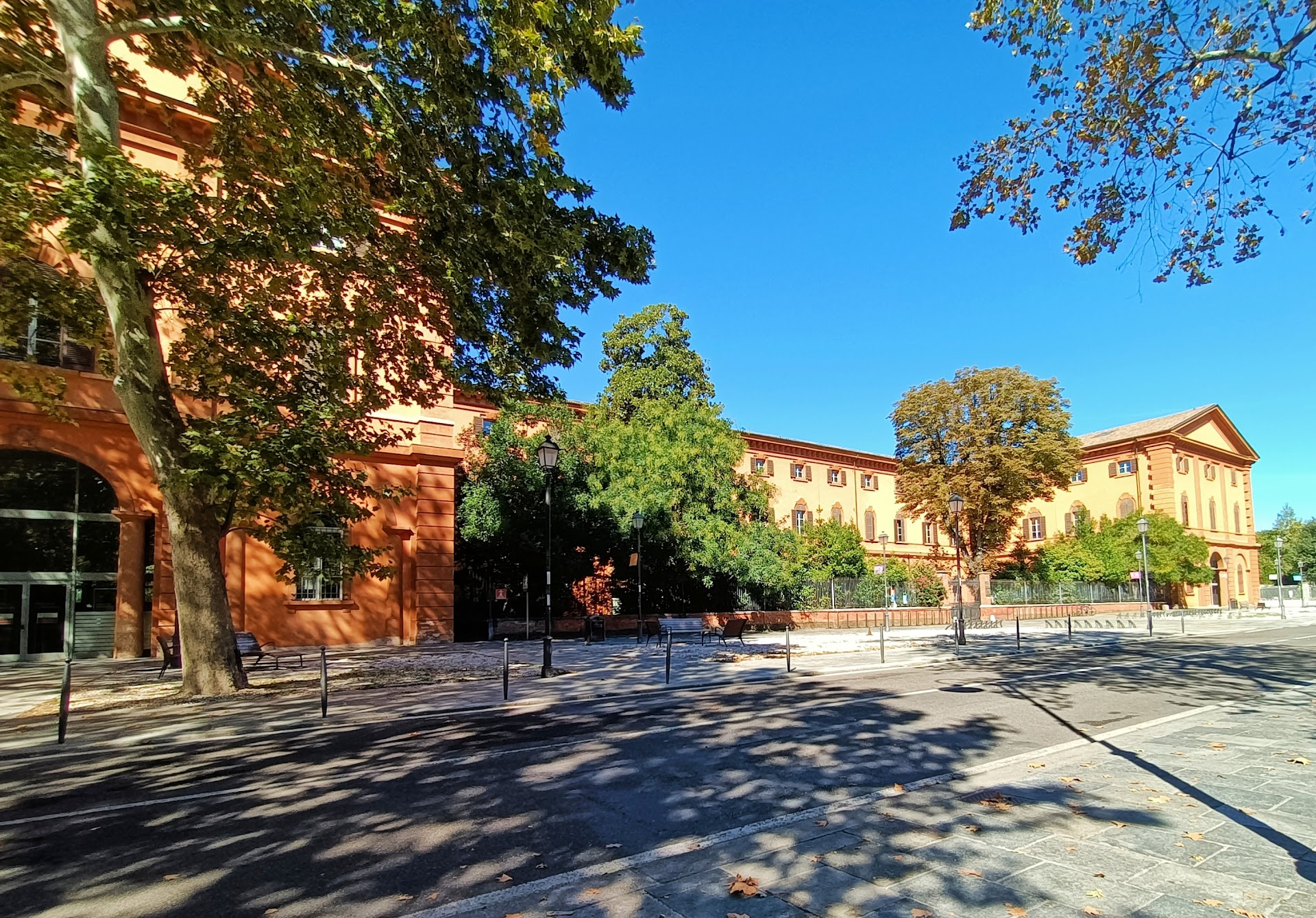 University of Modena and Reggio Emilia