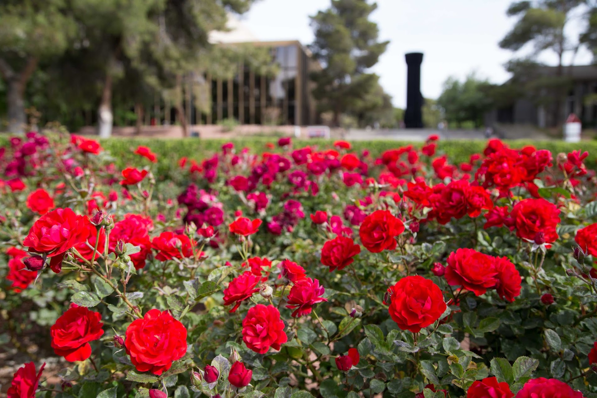 University of Nevada, Las Vegas