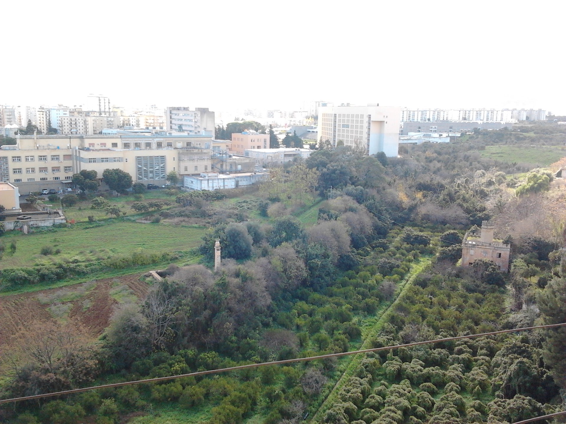 University of Palermo