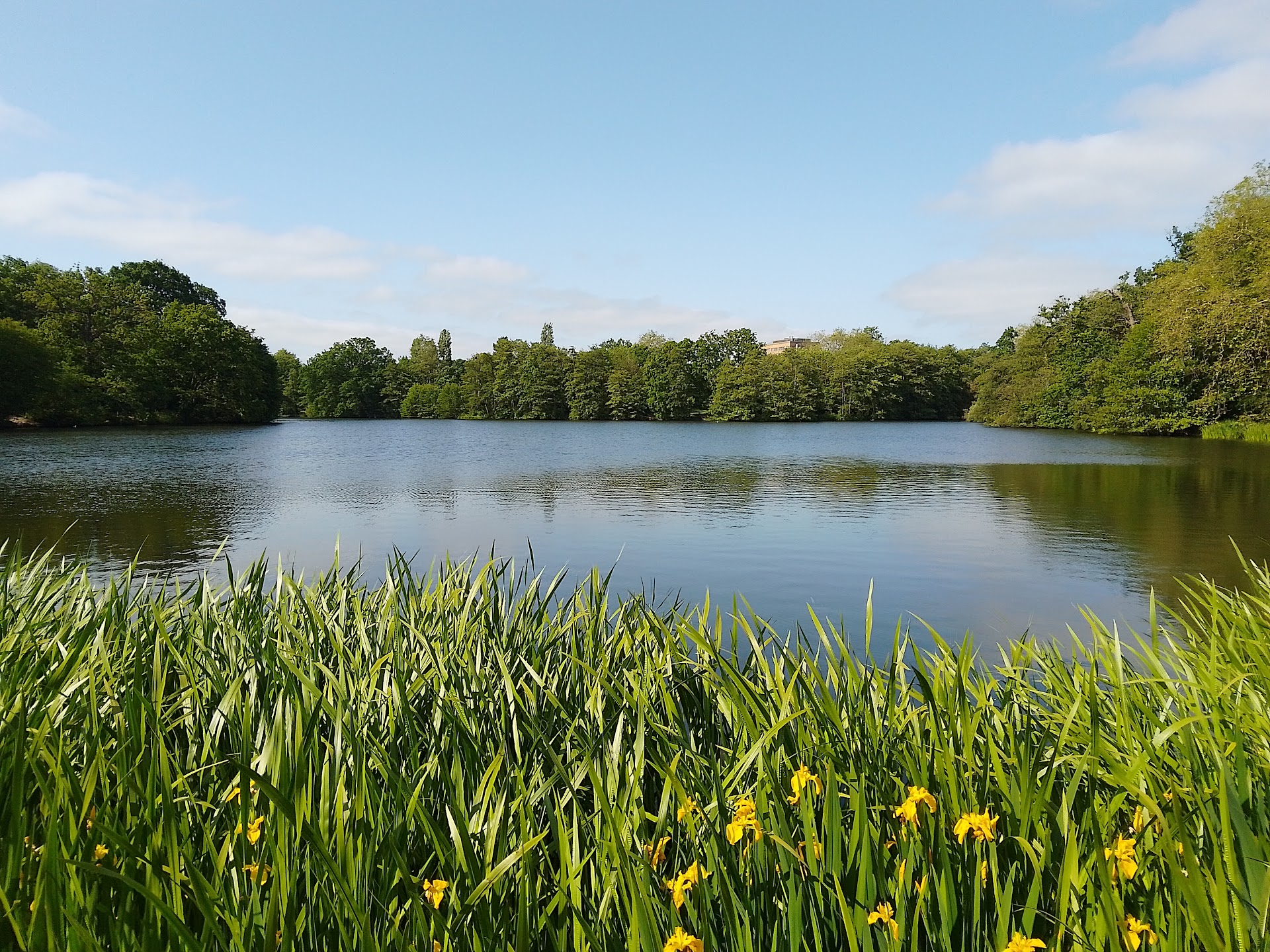 University of Reading