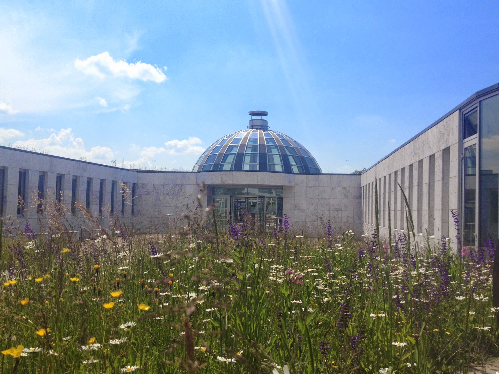 University of St.Gallen (HSG)