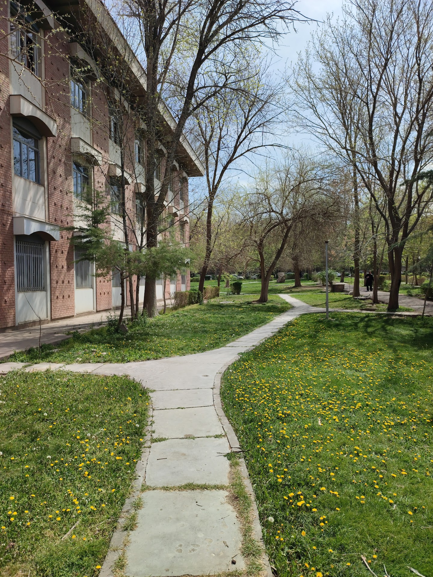University of Tabriz