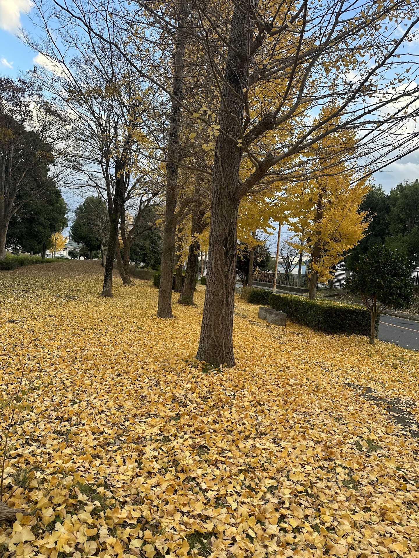 University of Tsukuba