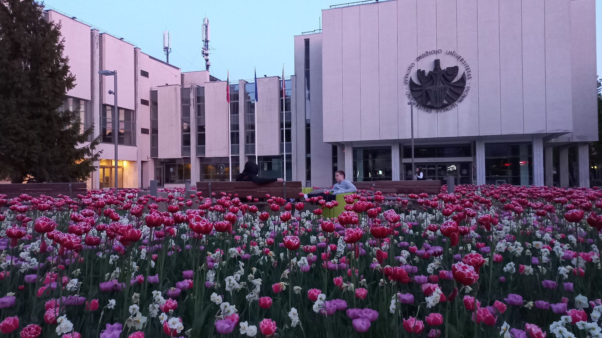 Vytautas Magnus University