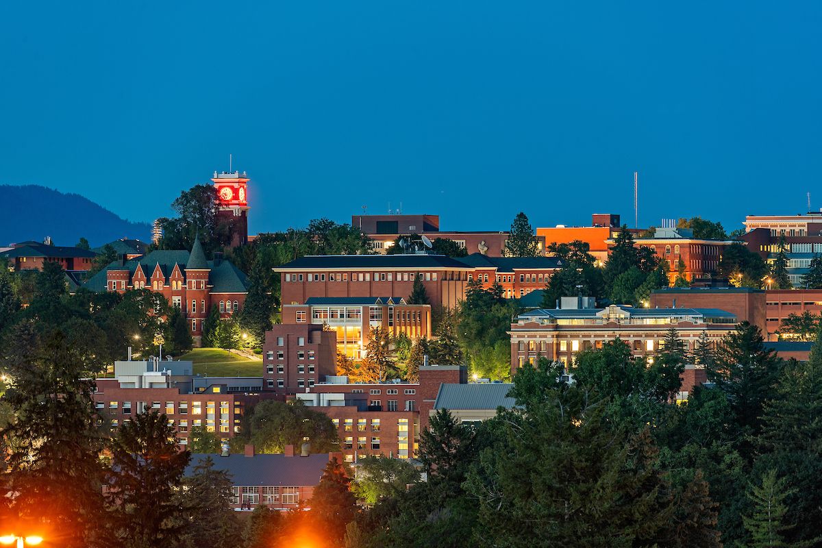 Washington State University